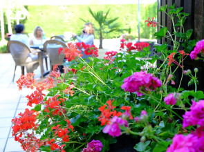 Logis Hôtel et Restaurant Ludik