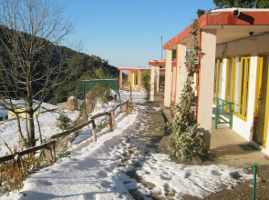 Room-janardan Resort Pangot, Nainital