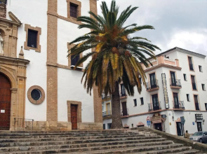 Hotel Colón