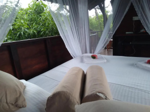 Dambulla Tree House