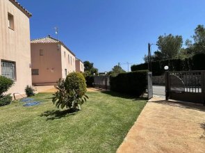Ava Senia 4-1