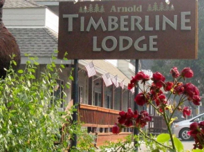 Timberline Lodge - Arnold - Bear Valley