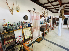 Mangala Lodge
