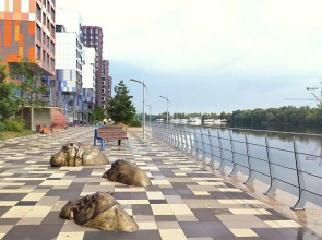 Апартаменты на улице Корабельная 9