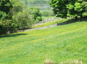 High Blean B&B