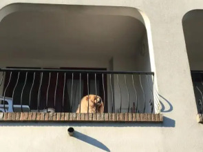 Res. Michelangelo Resort 252S