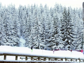 Appartement Courchevel 1850, 2 pieces, 5 personnes - FR-1-514-35