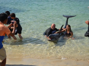 Seasun Beach Resort & Hotel