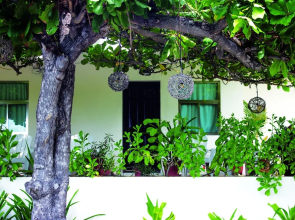 Luna D' Miel Suites