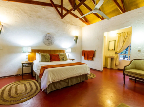 Gecko Lodge