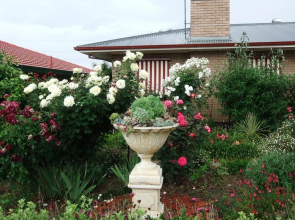 Admurraya House Bed & Breakfast