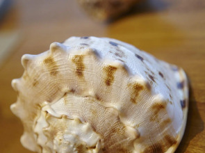 Auberge Discovery Bay Hong Kong