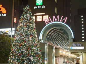 Tokyo Central Youth Hostel