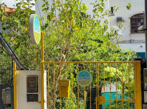 Onça da Praia Hostel