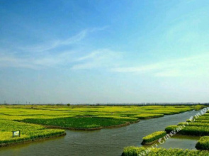 Qingmu Chain Hotel (Xinghua Zhengbanqiao Former Residence)(清沐精选酒店(兴化郑板桥故居店))