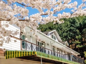 Gapyeong Thank You Dog Pension