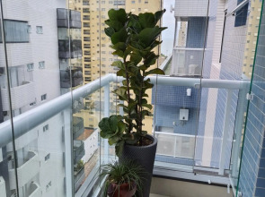 Santos Linda!! Apartment for Business and Leisure.