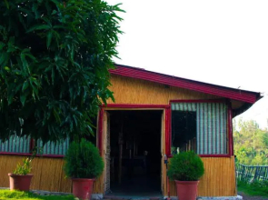 Forest Bliss Resort