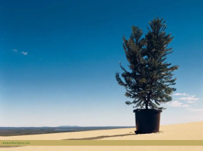 Jiuhuashan Quanmei Inn