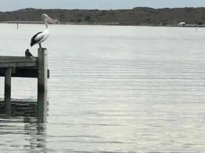 Goolwa Mariner’s Cottage - Free Wifi and Pet Friendly - Centrally located in Historic Region