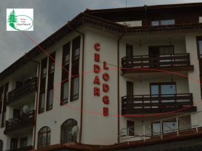 Pine Tree Apartment D34