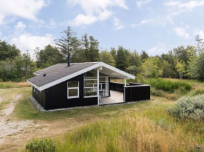 "Despot" - 3km from the sea in NW Jutland
