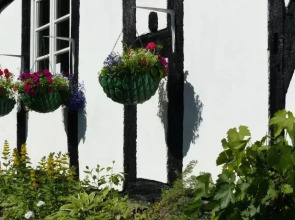 Vine Cottage Bed and Breakfast