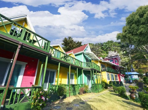 Daon Pension