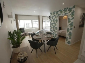 Chaleureux, lumineux et confortable F2 rénové en plein coeur de Nancy