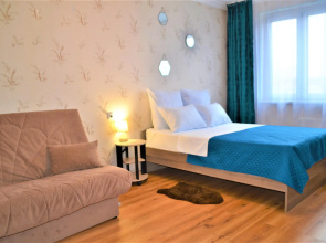 Moscow shelter on Struve Street