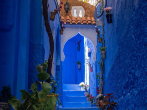 Casa Blue Star