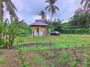 Emperor's Organic Farm