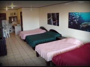 Blue Palm Hotel