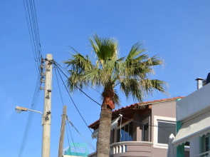 Pano's Flats