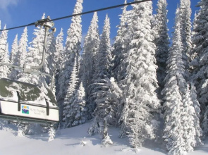 Timberline Village #45 By Bear Country