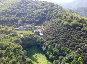 Modong Orchard Farmstay Boluo Luofu Moutain