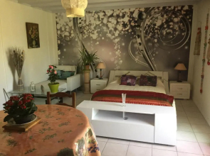 GITE 2-4 pers Découverte des vignobles de Saint EMILION et du Périgord