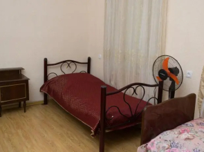 Hostel Mgzavrebi