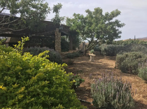 Finca Rural San Agustin