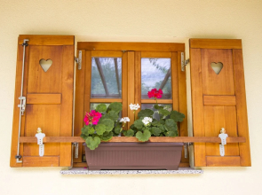 Country House Srček