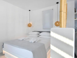 21 luxury apartments