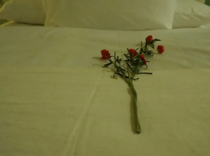 The Rockaway House Hotel