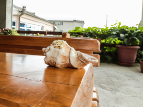 Abhaz-Leo, byvsh. Loza (Gagra)