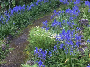 English Gardens - Forest Spa Suite