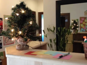 B&B Evergreen