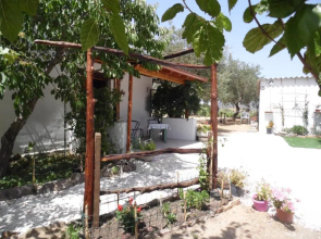 Villa L'Oliveto