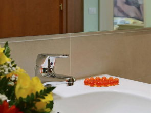 Smart Hotel Bartolini