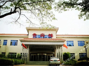 Yimei Hotel(义马义煤大酒店)
