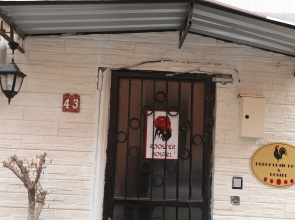Rooster Hostel