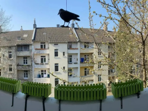 Alles Was Man Braucht, 1-Zimmer Wohnung